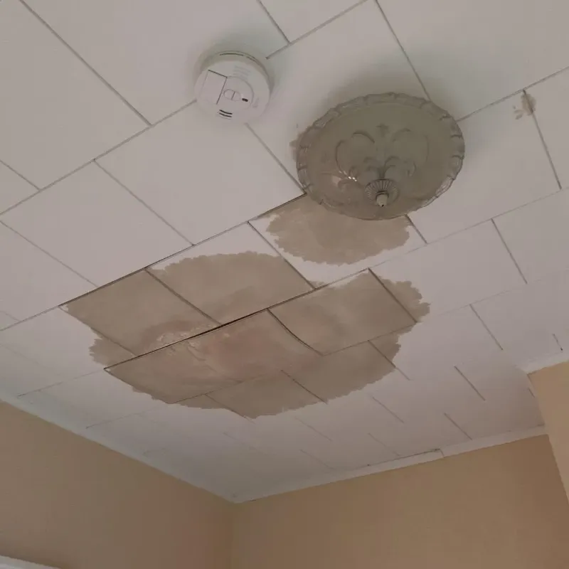 Ceiling Water Damage Repair in Liborio Negron Torres, PR