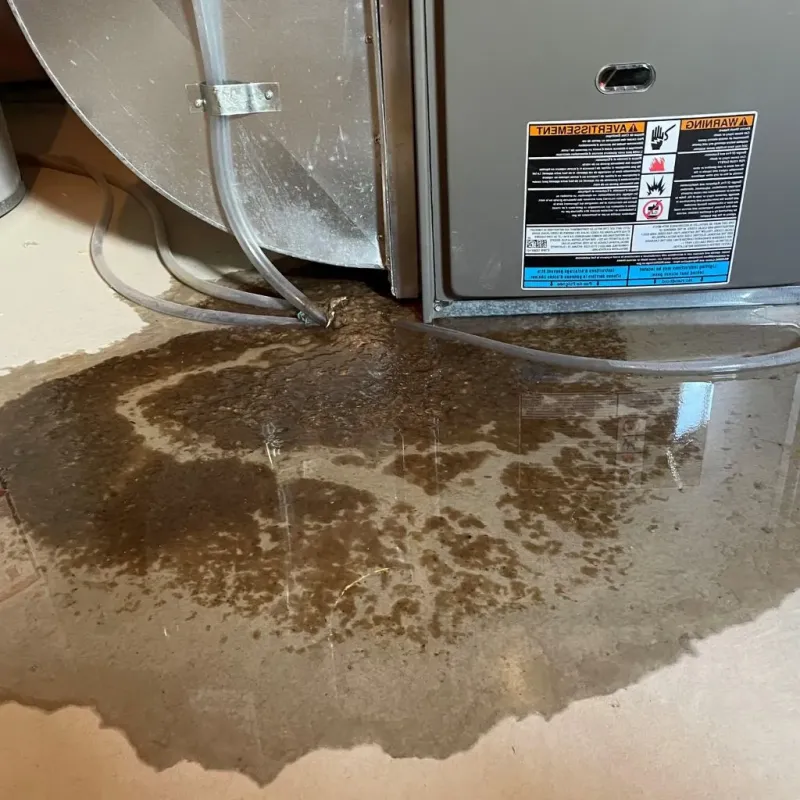 Pipe Burst and Leak Restoration in Liborio Negron Torres, PR