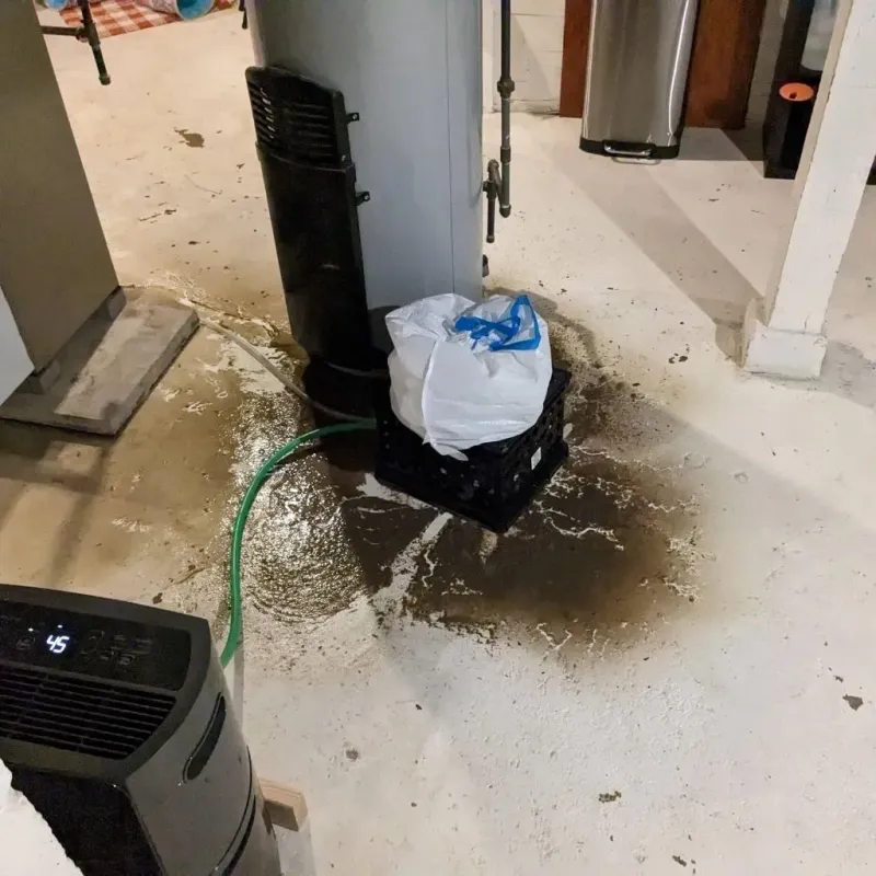 Sewage Backup Cleanup Service in Liborio Negron Torres, PR